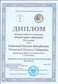 Диплом 3 степени общероссийского конкурса "Родной край в объективе". 2015 г. Диплом 3 степени общероссийского конкурса "Родной край в объективе". 2015 г.